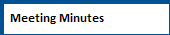 Meeting Minutes